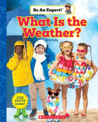 Quel est le temps qu'il fait ? (Sois un expert !) - What Is the Weather? (Be an Expert!)