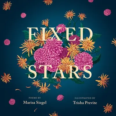 Étoiles fixes - Fixed Stars