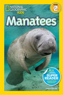 Lamantins - Manatees