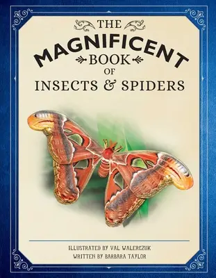 Le livre magnifique des insectes et des araignées : (Livres d'animaux pour les enfants, livres d'histoire naturelle pour les enfants) - The Magnificent Book of Insects and Spiders: (Animal Books for Kids, Natural History Books for Kids)