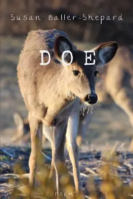 Biche - Doe