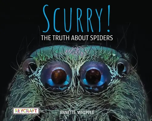 Scurry ! la vérité sur les araignées - Scurry! the Truth about Spiders