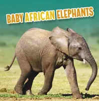 Bébés éléphants d'Afrique - Baby African Elephants