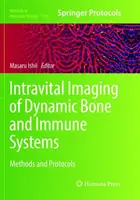 Imagerie intravitale des systèmes osseux et immunitaires dynamiques : Méthodes et protocoles - Intravital Imaging of Dynamic Bone and Immune Systems: Methods and Protocols