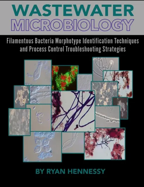 Microbiologie des eaux usées, techniques d'identification du morphotype des bactéries filamenteuses et stratégies de dépannage du contrôle des processus - Wastewater Microbiology, Filamentous Bacteria Morphotype Identification Techniques, and Process Control Troubleshooting Strategies