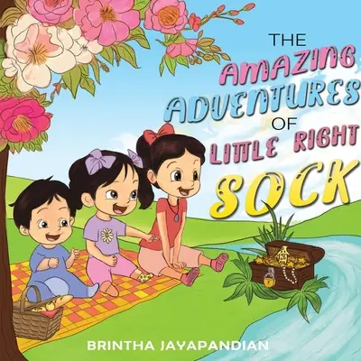 Les incroyables aventures de la petite chaussette droite - The Amazing Adventures of Little Right Sock