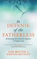 En défense des orphelins de père : La rédemption de l'adoption internationale et de la prise en charge des orphelins - In Defense of the Fatherless: Redeeming International Adoption & Orphan Care