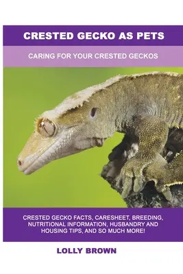 Le gecko à crête comme animal de compagnie : Prendre soin de vos geckos à crête - Crested Gecko as Pets: Caring For Your Crested Geckos