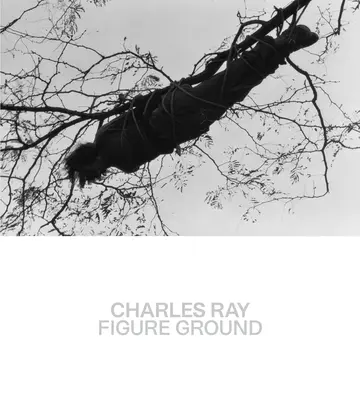 Charles Ray : Figure Ground - Charles Ray: Figure Ground