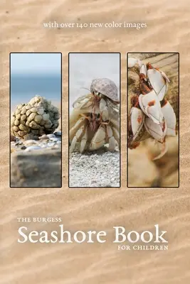Le livre de Burgess sur le bord de mer avec de nouvelles images en couleur - The Burgess Seashore Book with new color images