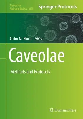 Caveolae : Méthodes et protocoles - Caveolae: Methods and Protocols