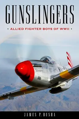 Gunslingers : Les combattants alliés de la Seconde Guerre mondiale - Gunslingers: Allied Fighter Boys of WWII