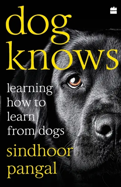 Le chien sait : apprendre à apprendre des chiens - Dog Knows: Learning How to Learn from Dogs