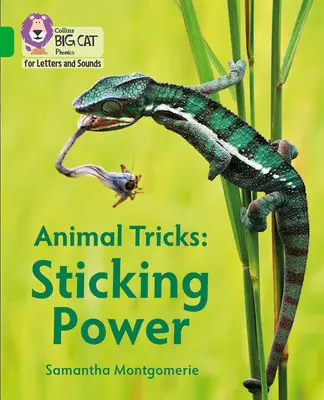 Trucs d'animaux : Le pouvoir de coller - Bande 05/Vert - Animal Tricks: Sticking Power - Band 05/Green