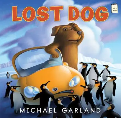 Chien perdu - Lost Dog