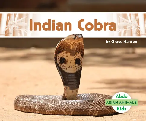 Cobra indien - Indian Cobra