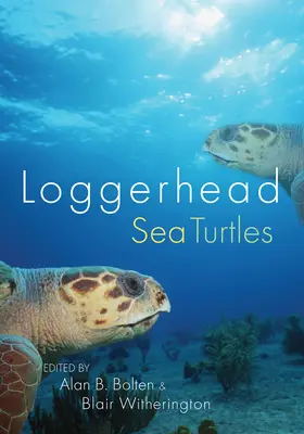 Tortues marines caouannes - Loggerhead Sea Turtles