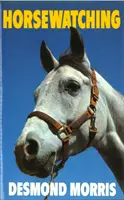 Observation des chevaux - Horsewatching