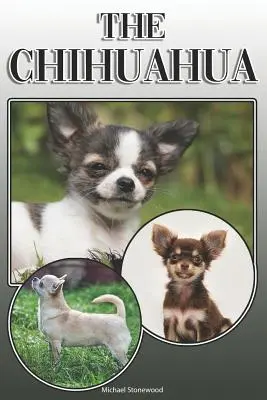 Le Chihuahua : Un guide complet pour les propriétaires : L'achat, la possession, la santé, le toilettage, le dressage, l'obéissance, la compréhension et l'éducation du chihuahua. - The Chihuahua: A Complete and Comprehensive Owners Guide To: Buying, Owning, Health, Grooming, Training, Obedience, Understanding and