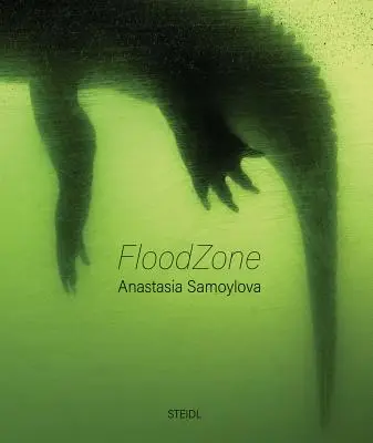 Anastasia Samoylova : Floodzone - Anastasia Samoylova: Floodzone