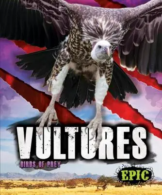 Vautours - Vultures