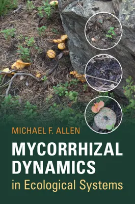 La dynamique mycorhizienne dans les systèmes écologiques - Mycorrhizal Dynamics in Ecological Systems