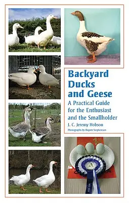 Canards et oies de basse-cour : Un guide pratique pour les passionnés et les petits exploitants - Backyard Ducks and Geese: A Practical Guide for the Enthusiast and the Smallholder