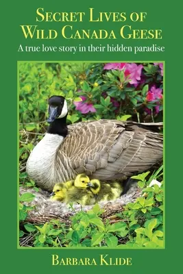 Les vies secrètes des oies sauvages du Canada : Une véritable histoire d'amour dans leur paradis caché - Secret Lives of Wild Canada Geese: A true love story in their hidden paradise