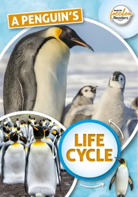 Le cycle de vie du pingouin - Penguin's Life Cycle