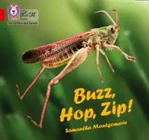 Buzz, Hop, Zip ! - Bande 02a/Rouge a - Buzz, Hop, Zip! - Band 02a/Red a