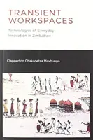 Espaces de travail transitoires : Technologies de l'innovation quotidienne au Zimbabwe - Transient Workspaces: Technologies of Everyday Innovation in Zimbabwe