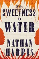 La douceur de l'eau - en lice pour le Booker Prize 2021 - Sweetness of Water - Longlisted for the 2021 Booker Prize