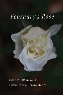 La rose de février - February's Rose
