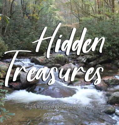 Trésors cachés : Un guide illustré pour trouver le bonheur et la guérison dans la nature - Hidden Treasures: An Illustrated Guide to Finding Happiness & Healing in Nature