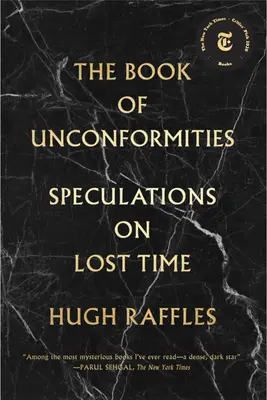 Le livre des non-conformités : Spéculations sur le temps perdu - The Book of Unconformities: Speculations on Lost Time