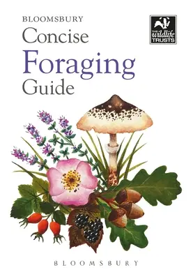 Guide concis de la recherche de nourriture - Concise Foraging Guide