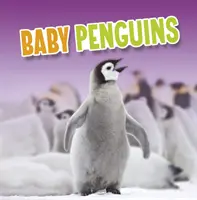 Bébés pingouins - Baby Penguins