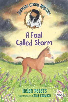 Jasmine Green Rescues : Un poulain appelé Storm - Jasmine Green Rescues: A Foal Called Storm