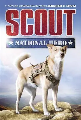 Éclaireur : Héros national - Scout: National Hero