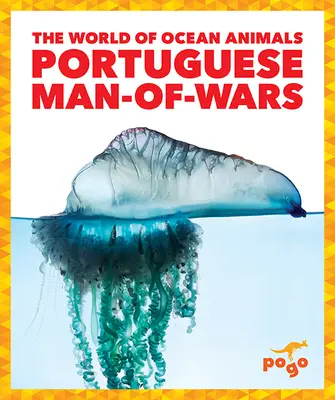 Homme de guerre portugais - Portuguese Man-Of-Wars