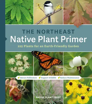 The Northeast Native Plant Primer : 235 Plants for an Earth-Friendly Garden (L'abécédaire des plantes indigènes du Nord-Est : 235 plantes pour un jardin respectueux de la Terre) - The Northeast Native Plant Primer: 235 Plants for an Earth-Friendly Garden