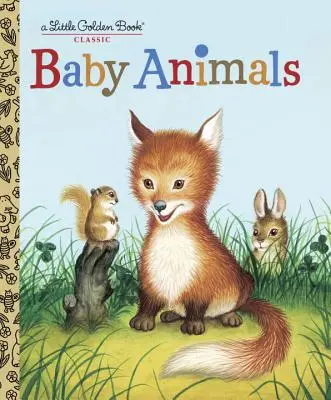 Bébés animaux - Baby Animals