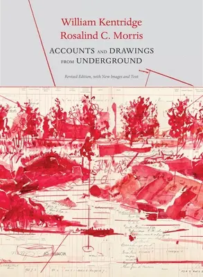 Comptes et dessins souterrains : Le livre de caisse de l'East Rand Proprietary Mines - Accounts and Drawings from Underground: The East Rand Proprietary Mines Cash Book