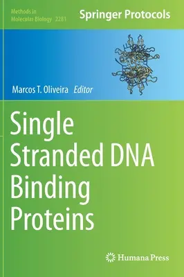 Protéines liant l'ADN simple brin - Single Stranded DNA Binding Proteins