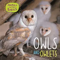 Les animaux et leurs bébés : Hiboux et chouettes - Animals and their Babies: Owls & Owlets