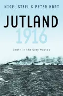 Jutland, 1916 : La mort dans les déchets gris - Jutland, 1916: Death in the Grey Wastes