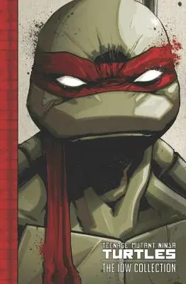 Teenage Mutant Ninja Turtles : La Collection IDW Volume 1 - Teenage Mutant Ninja Turtles: The IDW Collection Volume 1