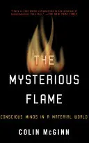 La flamme mystérieuse : Les esprits conscients dans un monde matériel - The Mysterious Flame: Conscious Minds in a Material World