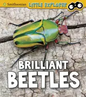Coccinelles brillantes - Brilliant Beetles
