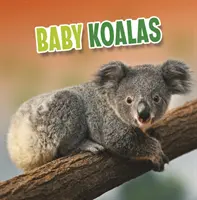 Bébés Koalas - Baby Koalas